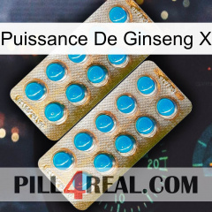 Ginseng Power X new08
